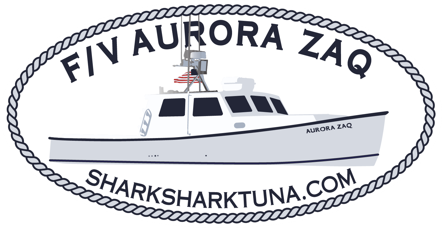 Shark Shark Tuna Fishing Charters Logo Home Link
